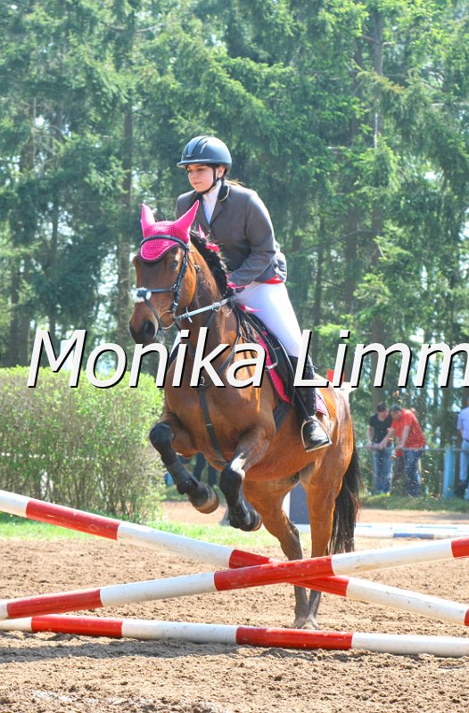 204M2708_Mary Lou_Spring RWB.JPG